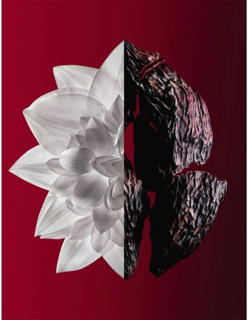 Givenchy L'Interdit Rouge Ultime Eau De Parfum 50ml - Image 2