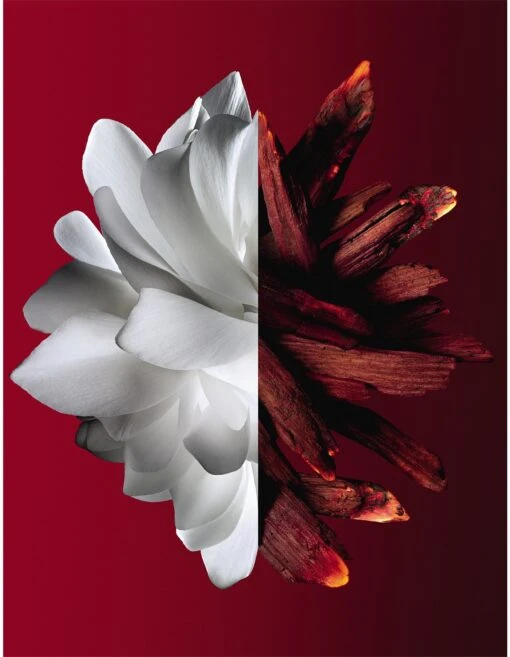 Givenchy L'Interdit Rouge Ultime Eau De Parfum 50ml - Image 3