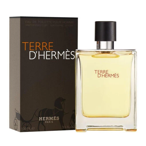 Hermès Hermes Terre D'Hermes Eau De Toilette 100ml*